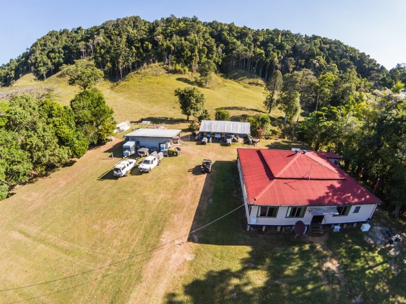 3391 MOSSMAN DAINTREE ROAD, Daintree QLD 4873