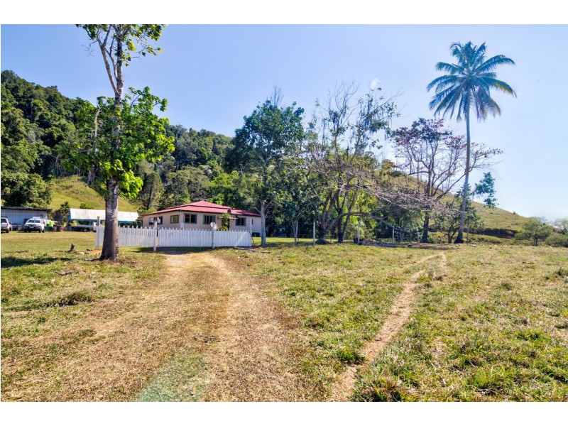 3391 MOSSMAN DAINTREE ROAD, Daintree QLD 4873