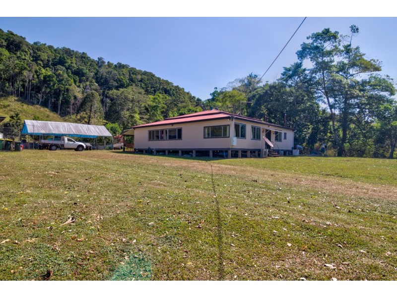 3391 MOSSMAN DAINTREE ROAD, Daintree QLD 4873