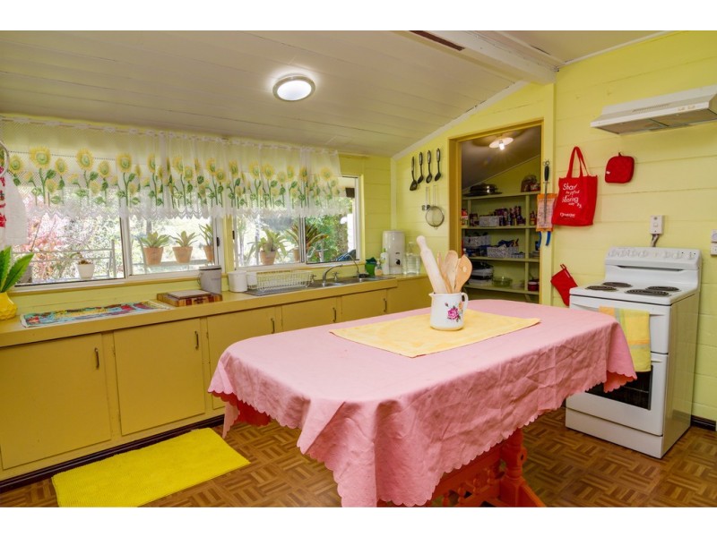 3391 MOSSMAN DAINTREE ROAD, Daintree QLD 4873