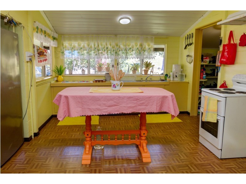 3391 MOSSMAN DAINTREE ROAD, Daintree QLD 4873