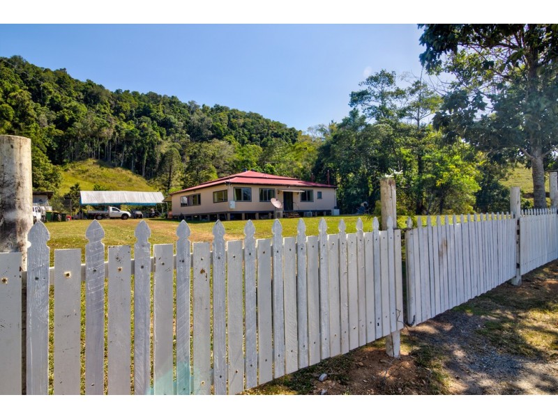 3391 MOSSMAN DAINTREE ROAD, Daintree QLD 4873