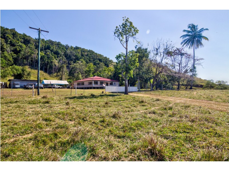 3391 MOSSMAN DAINTREE ROAD, Daintree QLD 4873