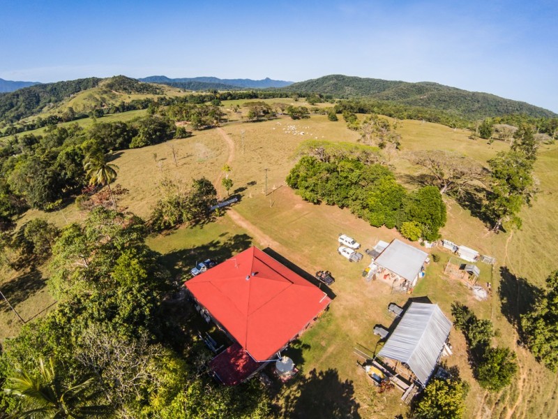 3391 MOSSMAN DAINTREE ROAD, Daintree QLD 4873