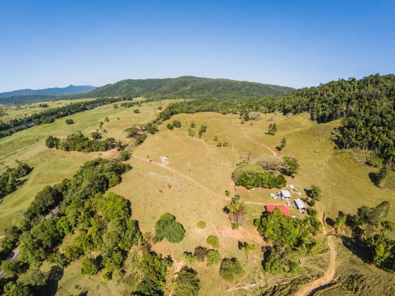 3391 MOSSMAN DAINTREE ROAD, Daintree QLD 4873