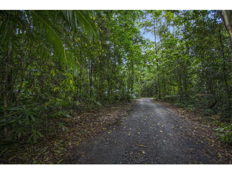 157 Cape Tribulation Road DIWAN, Daintree QLD 4873