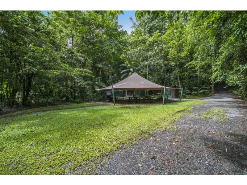 157 Cape Tribulation Road DIWAN, Daintree QLD 4873