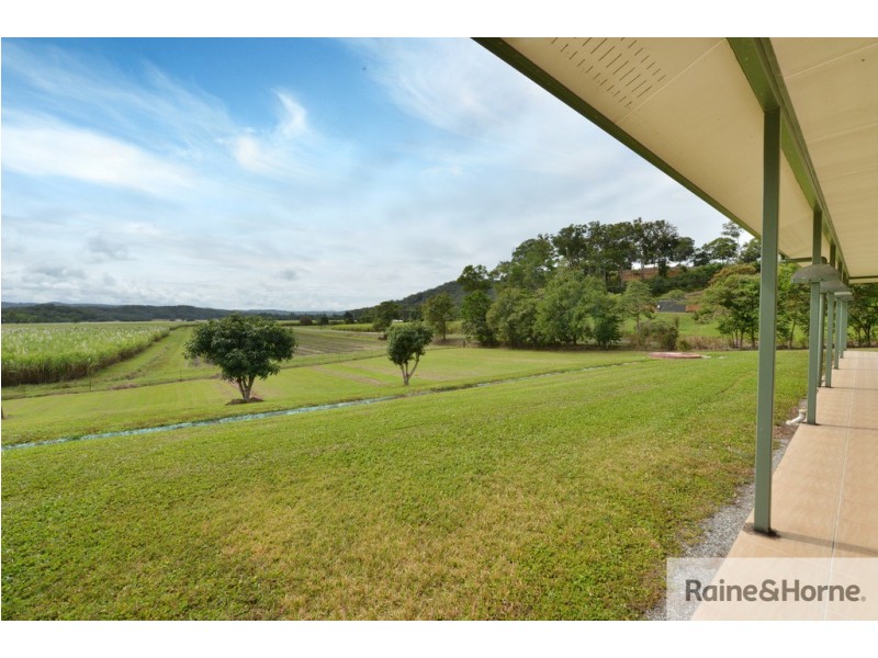 Lot 14 Whiteley Road, Miallo QLD 4873