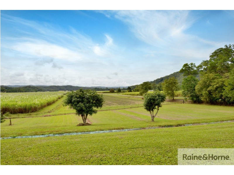 Lot 14 Whiteley Road, Miallo QLD 4873