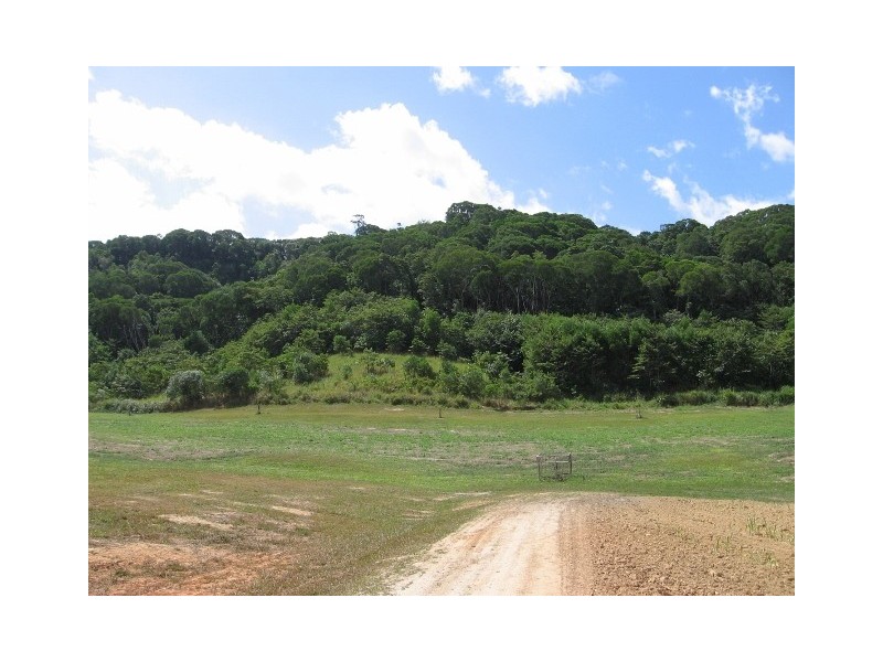 3 Mossman Mt Molloy Rd, Julatten QLD 4871