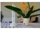 Unit 2/9 Spinnaway Close, Port Douglas QLD 4877