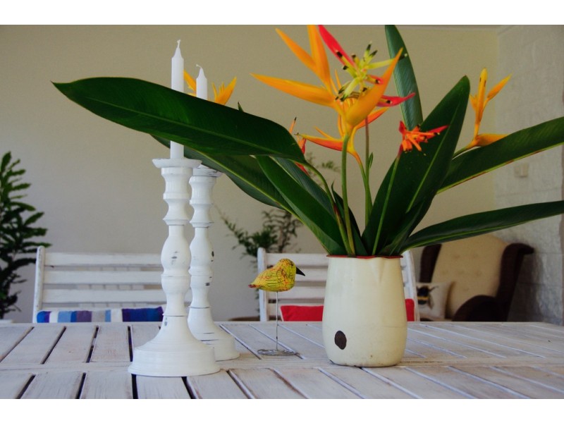 Unit 2/9 Spinnaway Close, Port Douglas QLD 4877