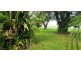 2 Douglas Street, Daintree QLD 4873