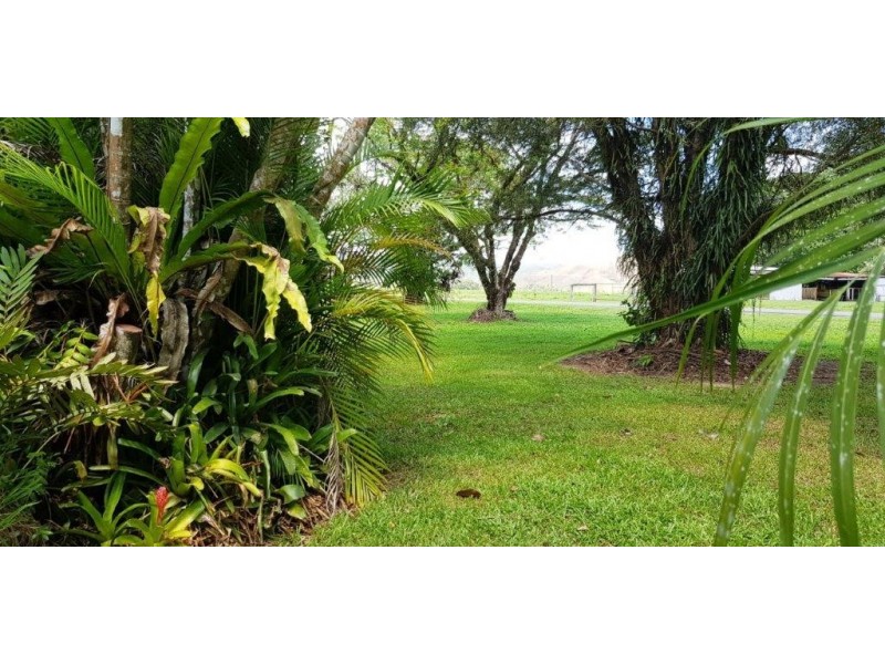 2 Douglas Street, Daintree QLD 4873