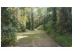 68 Forest Creek Road, Daintree QLD 4873