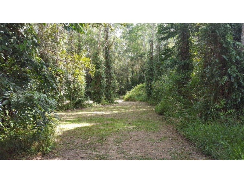 68 Forest Creek Road, Daintree QLD 4873