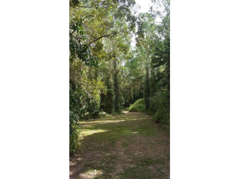 68 Forest Creek Road, Daintree QLD 4873
