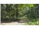 68 Forest Creek Road, Daintree QLD 4873
