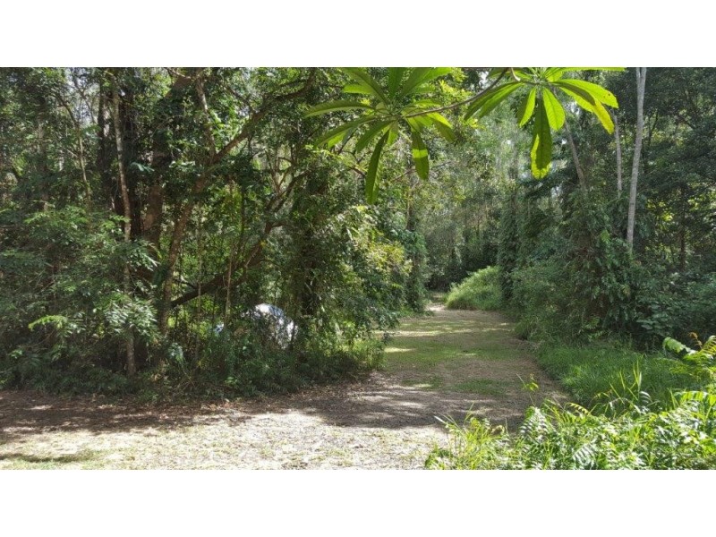68 Forest Creek Road, Daintree QLD 4873