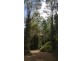 68 Forest Creek Road, Daintree QLD 4873
