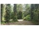 68 Forest Creek Road, Daintree QLD 4873