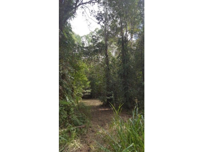 68 Forest Creek Road, Daintree QLD 4873