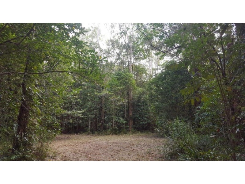 68 Forest Creek Road, Daintree QLD 4873