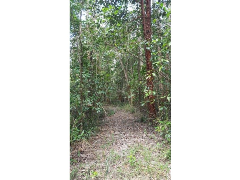 68 Forest Creek Road, Daintree QLD 4873