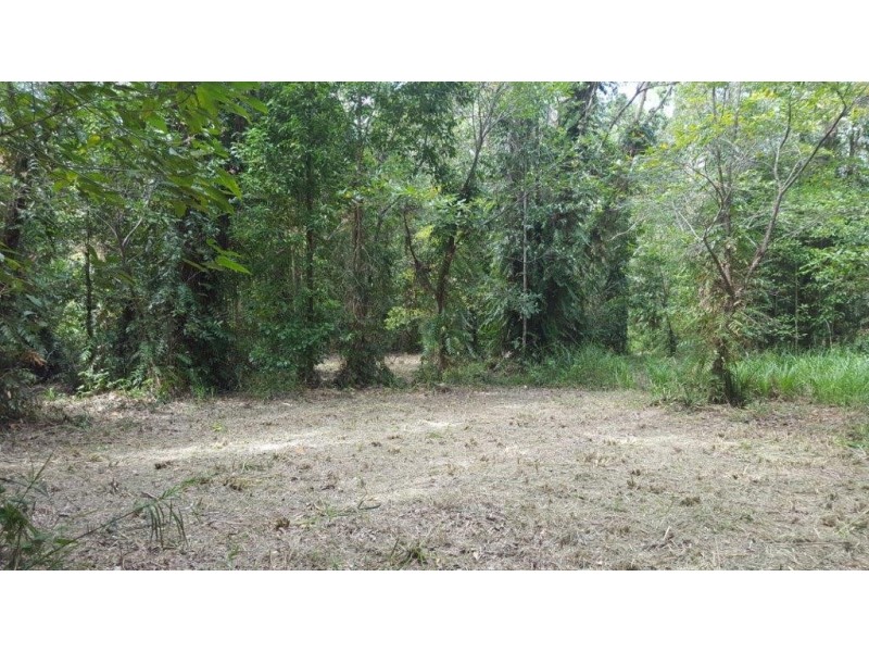 68 Forest Creek Road, Daintree QLD 4873