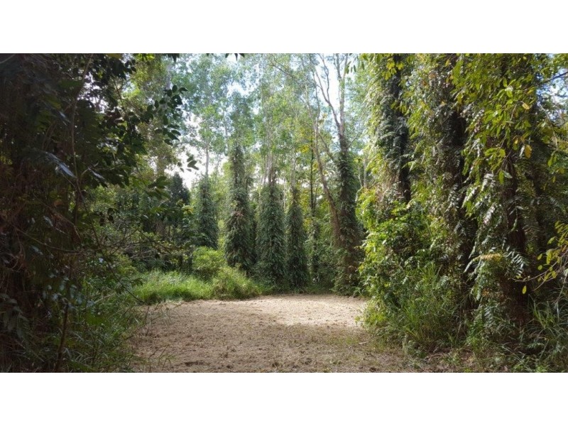 68 Forest Creek Road, Daintree QLD 4873