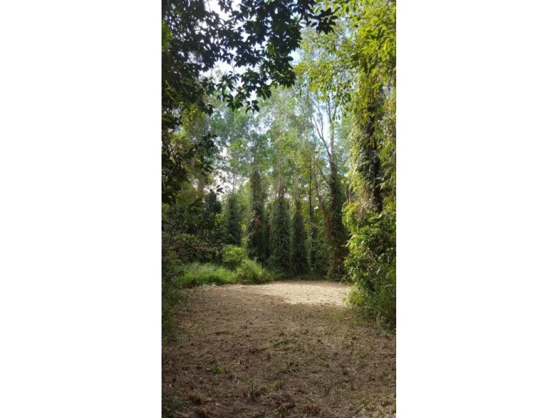 68 Forest Creek Road, Daintree QLD 4873