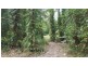 68 Forest Creek Road, Daintree QLD 4873