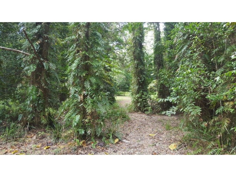 68 Forest Creek Road, Daintree QLD 4873