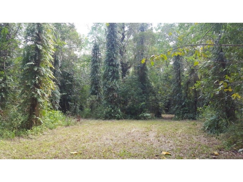 68 Forest Creek Road, Daintree QLD 4873