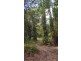 68 Forest Creek Road, Daintree QLD 4873