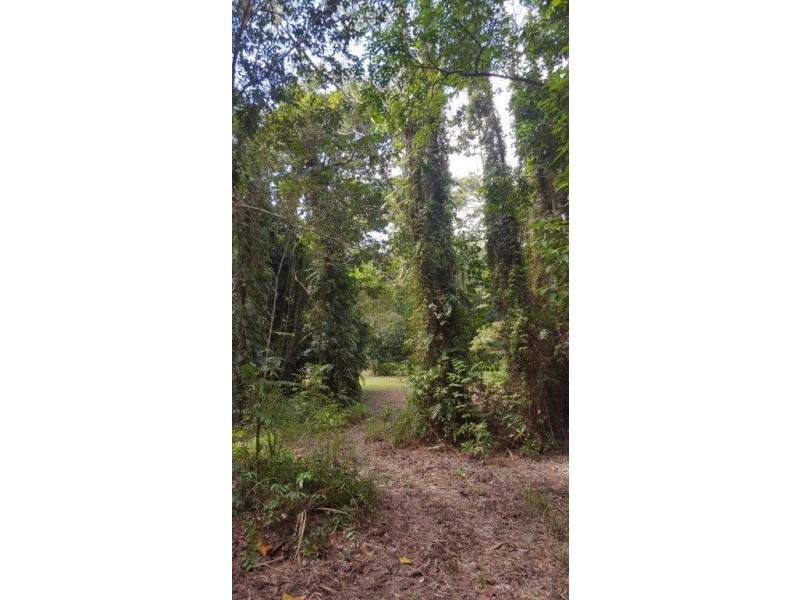 68 Forest Creek Road, Daintree QLD 4873