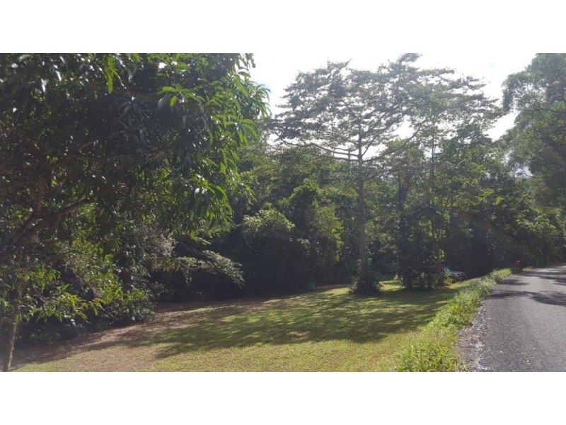 68 Forest Creek Road, Daintree QLD 4873