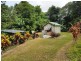 270 Kauri Close, Daintree QLD 4873