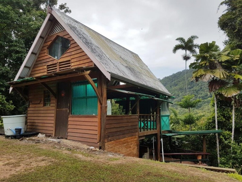 270 Kauri Close, Daintree QLD 4873