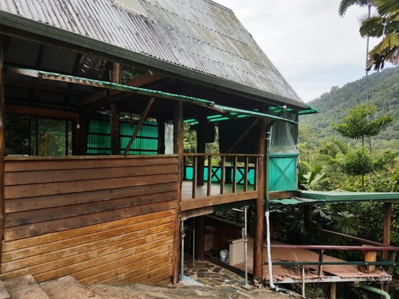 270 Kauri Close, Daintree QLD 4873