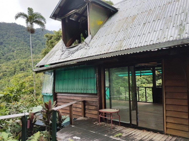 270 Kauri Close, Daintree QLD 4873