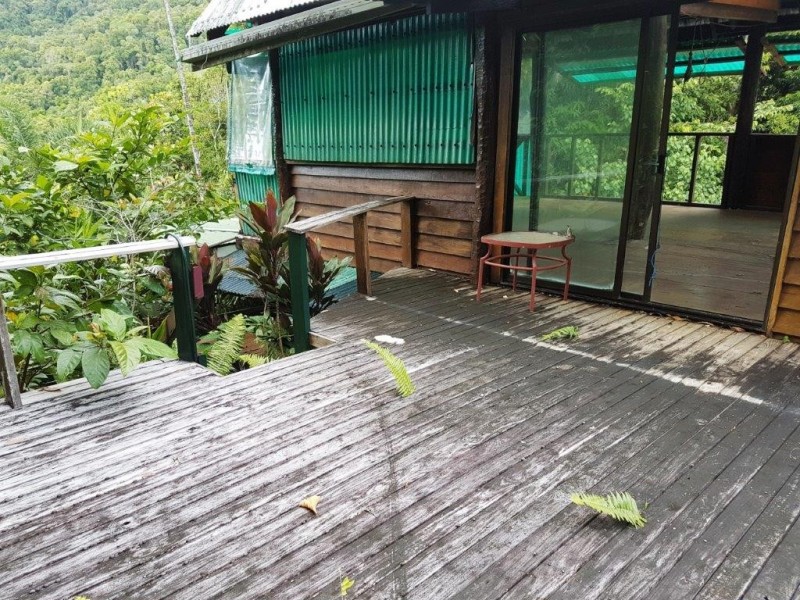 270 Kauri Close, Daintree QLD 4873