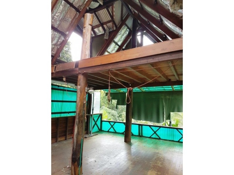 270 Kauri Close, Daintree QLD 4873