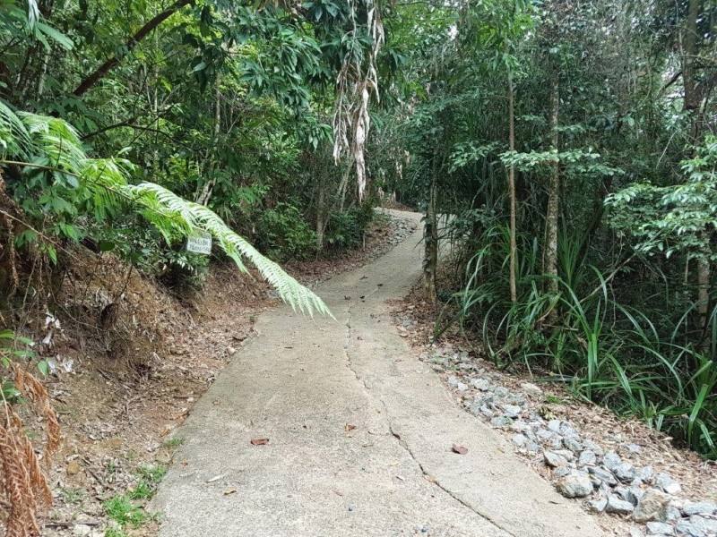 270 Kauri Close, Daintree QLD 4873