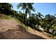 1549 MOSSMAN-DAINTREE ROAD, Wonga Beach QLD 4873