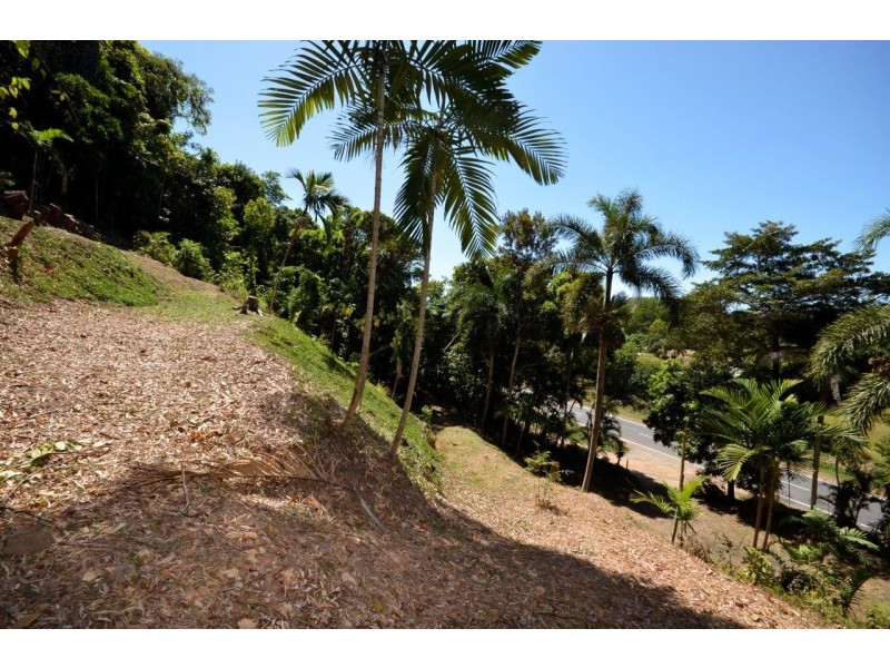 1549 MOSSMAN-DAINTREE ROAD, Wonga Beach QLD 4873