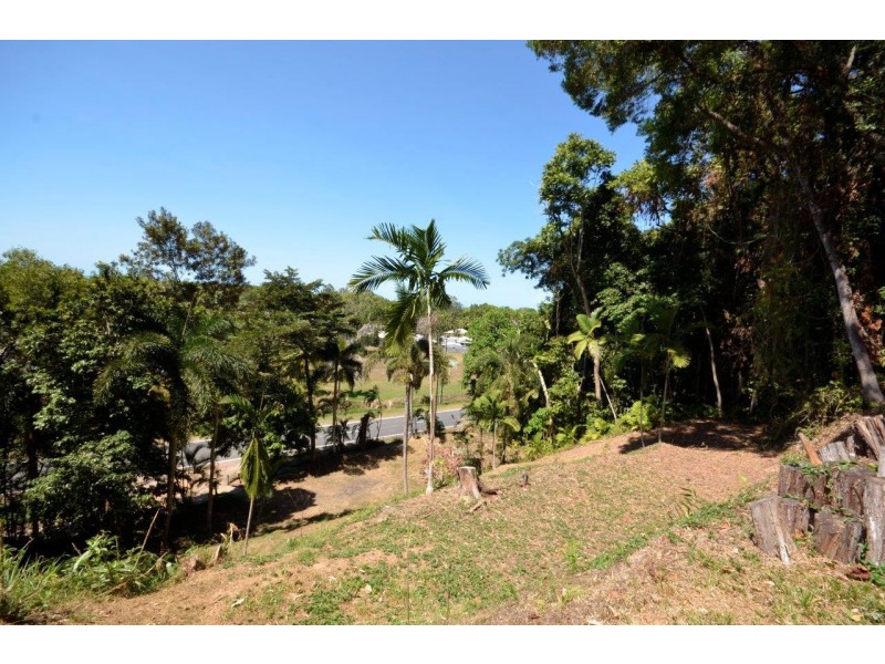 1549 MOSSMAN-DAINTREE ROAD, Wonga Beach QLD 4873