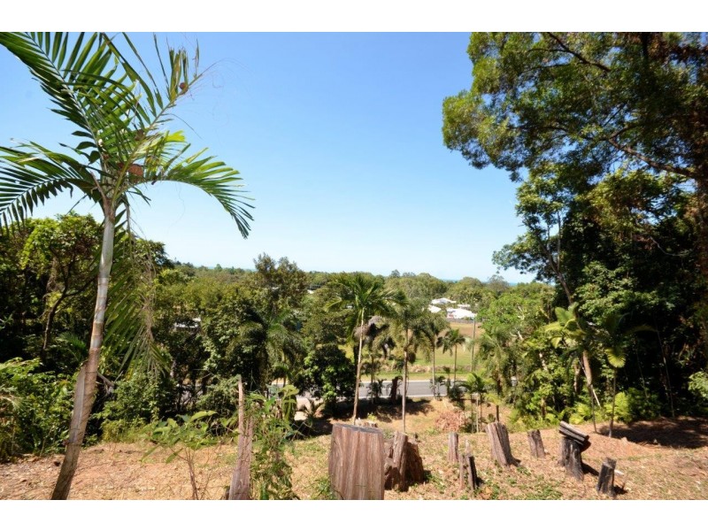 1549 MOSSMAN-DAINTREE ROAD, Wonga Beach QLD 4873
