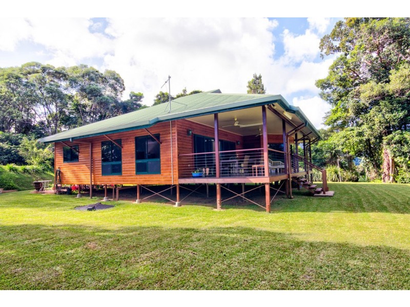 37 Cape Trib Road, Daintree QLD 4873