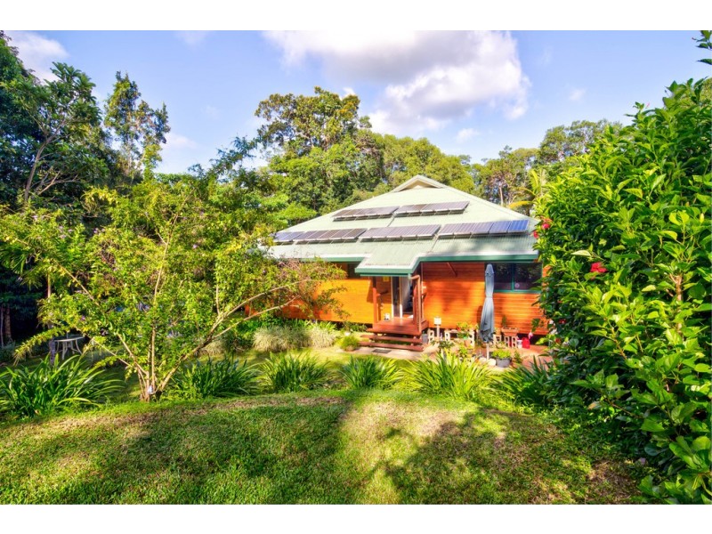 37 Cape Trib Road, Daintree QLD 4873